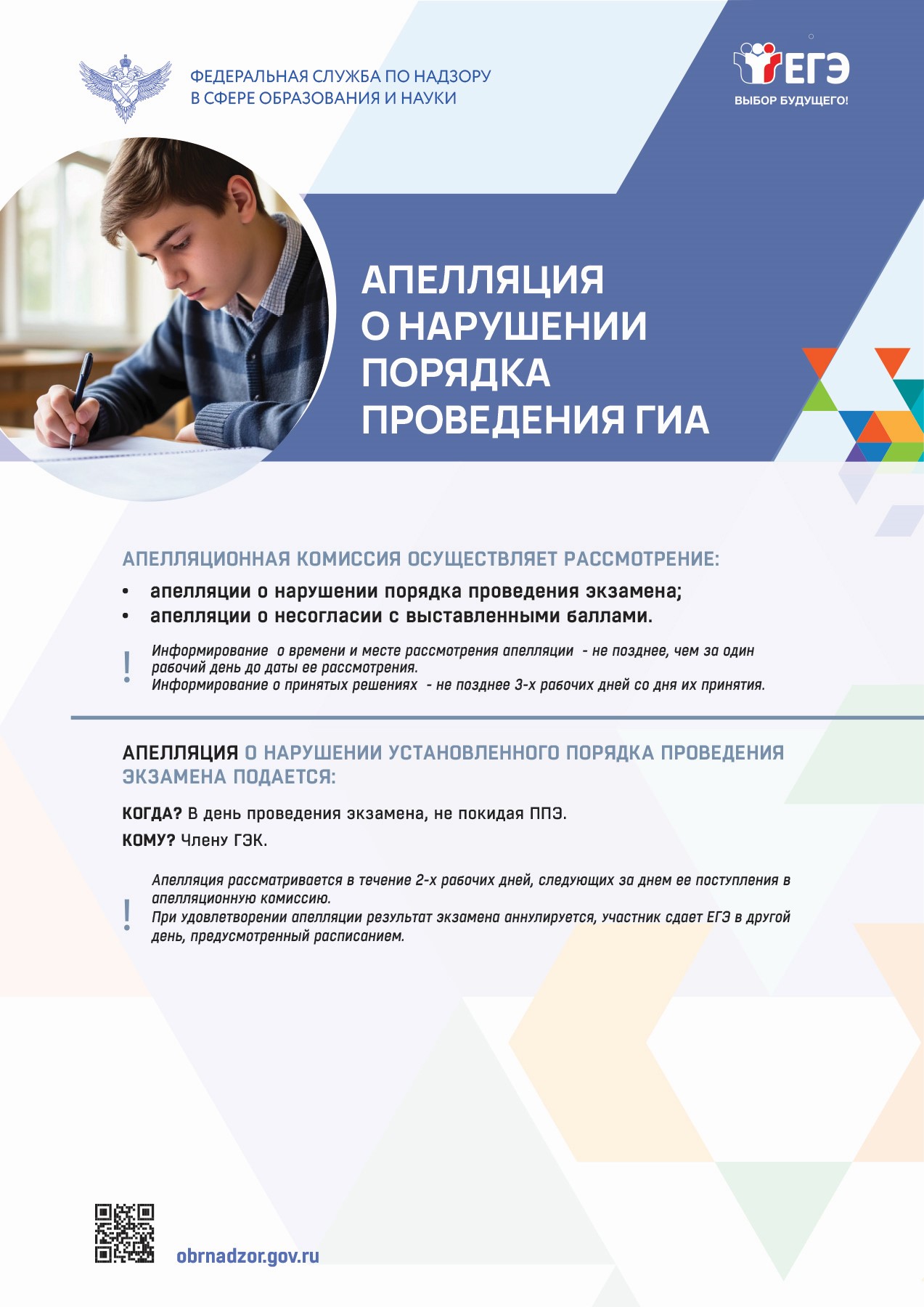 Изображение 12