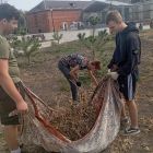 Изображение 15